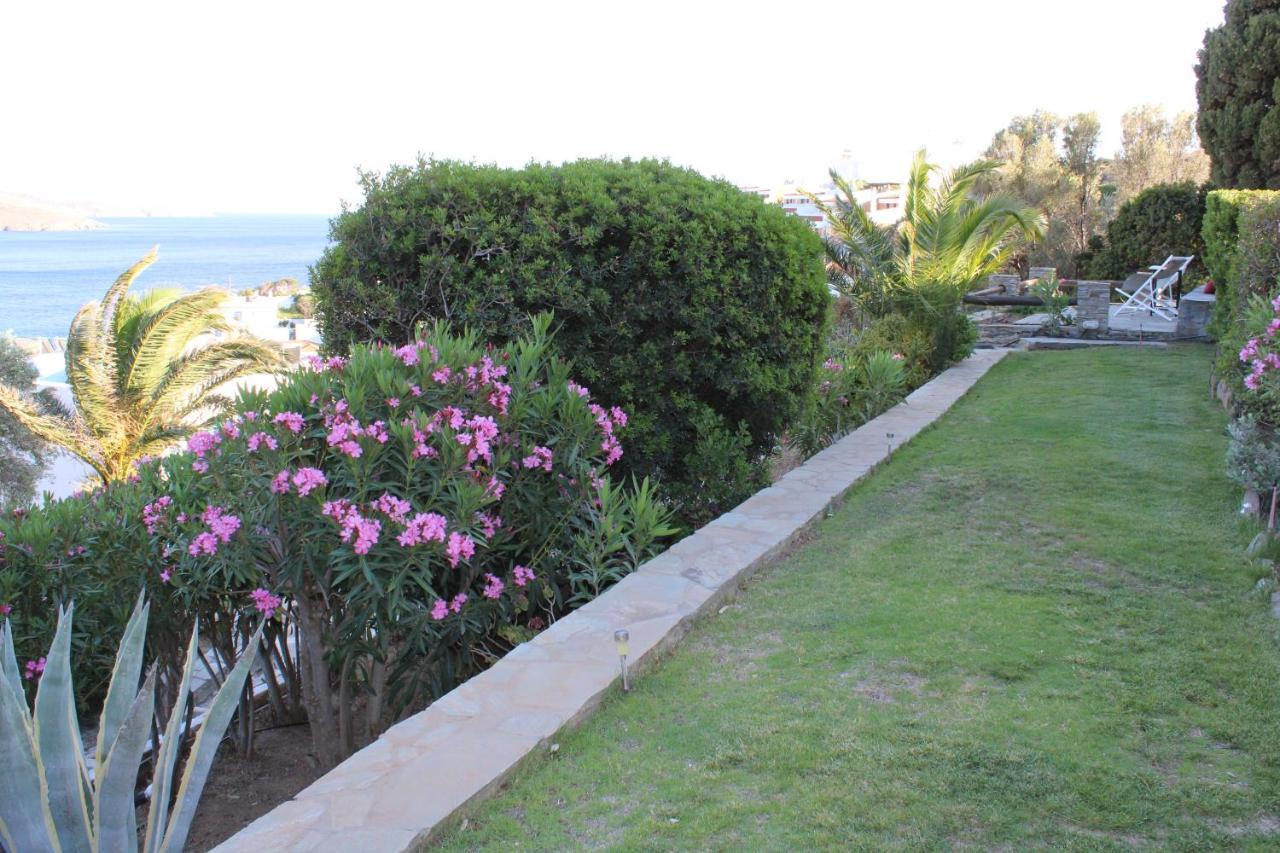 Blue Dolphin Hotel Batsi  Exterior foto